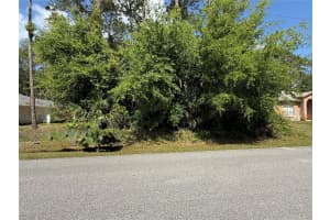 19 WASSERMAN DRIVE, PALM COAST, FL 32164 - MLS#MFRFC308873