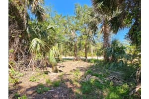 52 COLECHESTER LANE, PALM COAST, FL 32137 - MLS#MFRFC308936