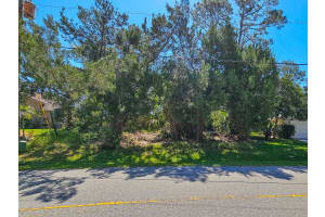 52 COLECHESTER LANE, PALM COAST, FL 32137 - MLS#MFRFC308936