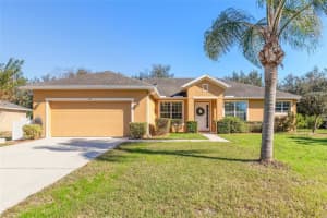 517 ELKHORN FERN LANE, DELAND, FL 32720 Sold 06/27/25