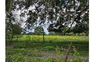 00 CR65, BUNNELL, FL 32110 Sold 08/18/25