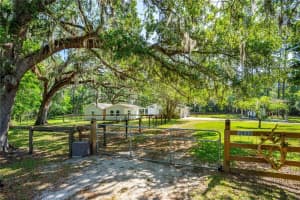 2433 Guava Dr, PORT ORANGE