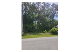 47 BIRCHWOOD DRIVE, PALM COAST, FL 32137 Sold 07/03/25
