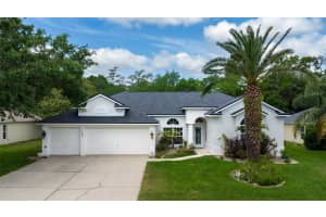 3785 Birch Mountain Rd, PORT ORANGE