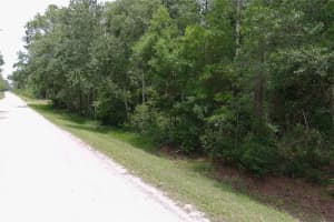 1823 HONEYTREE STREET, BUNNELL, FL 32110 - MLS#MFRFC309335