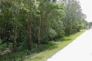 1823 HONEYTREE STREET, BUNNELL, FL 32110 - MLS#MFRFC309335