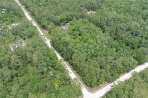 1823 HONEYTREE STREET, BUNNELL, FL 32110 - MLS#MFRFC309335