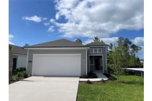 223 Montgomery Ct, PALM COAST