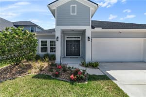 133 WOOD STORK LANE, PALM COAST, FL 32164 - MLS#MFRFC309467