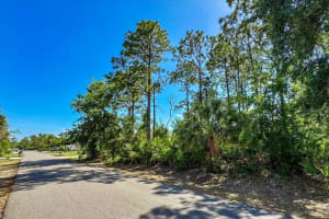 39 WHITTINGTON DRIVE, PALM COAST, FL 32164 - MLS#MFRFC309513
