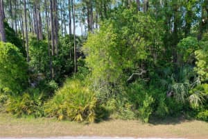 30 EAGLE CREST PATH, PALM COAST, FL 32164 - MLS#MFRFC309529