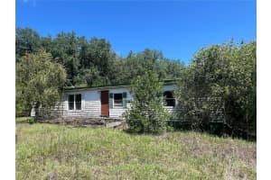 6200 CR 248N, LAKE PANASOFFKEE, FL 33538 Sold 05/23/25