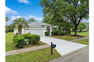 2 Saw Mill Ct, PALM COAST