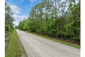 1756 HAZELNUT STREET, BUNNELL, FL 32110 - MLS#MFRFC309643
