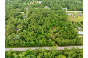 1756 HAZELNUT STREET, BUNNELL, FL 32110 - MLS#MFRFC309643