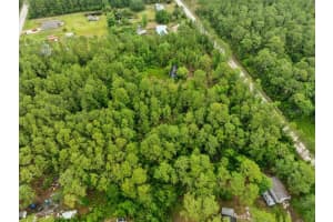 1756 HAZELNUT STREET, BUNNELL, FL 32110 - MLS#MFRFC309643