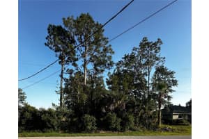 31 PALM LANE, PALM COAST, FL 32164 Sold 08/15/25