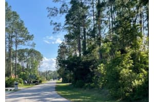 33 PONDEROSA LANE, PALM COAST, FL 32164 - MLS#MFRFC309843