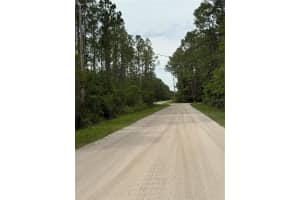 2060 HAZELNUT STREET, BUNNELL, FL 32110 - MLS#MFRFC310048