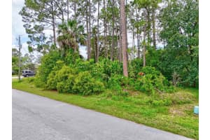 12 BURNING TREE PLACE, PALM COAST, FL 32137 Sold 09/16/25