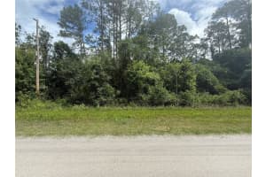 5670 NUTWOOD AVENUE, BUNNELL, FL 32110 - MLS#MFRFC310264