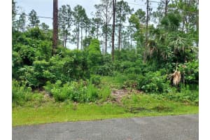 33 RENN LANE, PALM COAST, FL 32164 - MLS#MFRFC310281