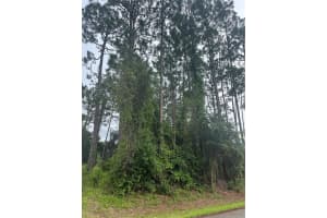 58 BRUNETT LANE, PALM COAST, FL 32137 - MLS#MFRFC310296