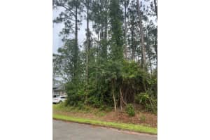 58 BRUNETT LANE, PALM COAST, FL 32137 - MLS#MFRFC310296