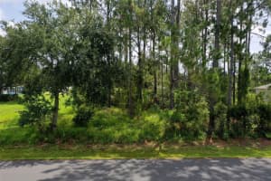 30 LANGDON DRIVE, PALM COAST, FL 32137 - MLS#MFRFC310383