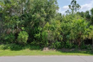 4 BUFFALO PLAINS LANE, PALM COAST, FL 32137 - MLS#MFRFC310404