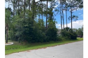 35 RAMBLEWOOD DRIVE, PALM COAST, FL 32164 - MLS#MFRFC310419
