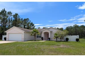 43 Buffalo Grove Dr, PALM COAST