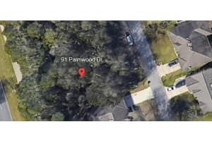 91 PALMWOOD DRIVE, PALM COAST, FL 32164 - MLS#MFRFC310467