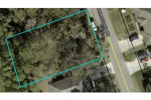 91 PALMWOOD DRIVE, PALM COAST, FL 32164 - MLS#MFRFC310467