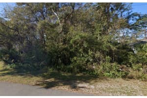 91 PALMWOOD DRIVE, PALM COAST, FL 32164 - MLS#MFRFC310467