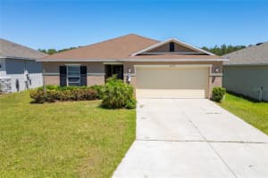 16313 Yelloweyed Dr, CLERMONT