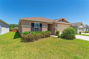 16313 YELLOWEYED DRIVE, CLERMONT, FL 34714 - MLS#MFRFC310543