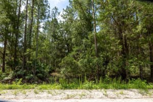5661 IRONWOOD AVENUE, BUNNELL, FL 32110 - MLS#MFRFC310595
