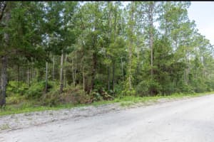 5661 IRONWOOD AVENUE, BUNNELL, FL 32110 - MLS#MFRFC310595