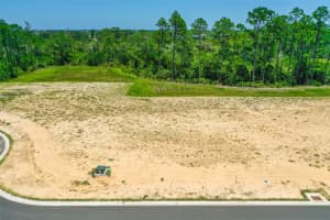 234 STILLWATER DRIVE, FLAGLER BEACH, FL 32136 - MLS#MFRFC310623