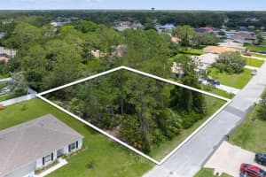 25 PEBBLE STONE LANE, PALM COAST, FL 32164 - MLS#MFRFC310762
