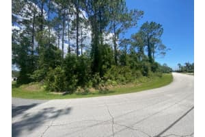 30 ROBINSON DRIVE, PALM COAST, FL 32164 - MLS#MFRFC310821
