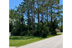 30 ROBINSON DRIVE, PALM COAST, FL 32164 - MLS#MFRFC310821
