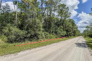 2128 ORANGE STREET, BUNNELL, FL 32110 - MLS#MFRFC310847