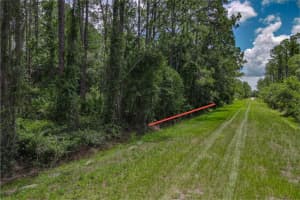 5274 OLIVE AVENUE, BUNNELL, FL 32110 - MLS#MFRFC310854
