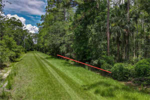5274 OLIVE AVENUE, BUNNELL, FL 32110 - MLS#MFRFC310854