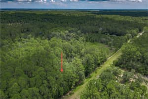 5274 OLIVE AVENUE, BUNNELL, FL 32110 - MLS#MFRFC310854