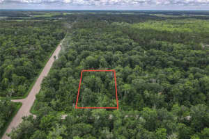 4001 EVERGREEN AVENUE, BUNNELL, FL 32110 - MLS#MFRFC310855