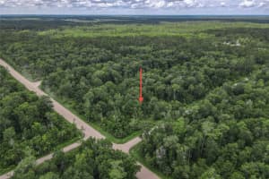 4001 EVERGREEN AVENUE, BUNNELL, FL 32110 - MLS#MFRFC310855