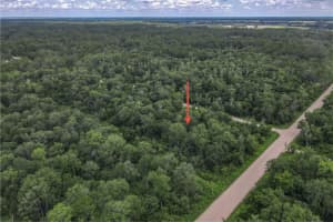 4001 EVERGREEN AVENUE, BUNNELL, FL 32110 - MLS#MFRFC310855